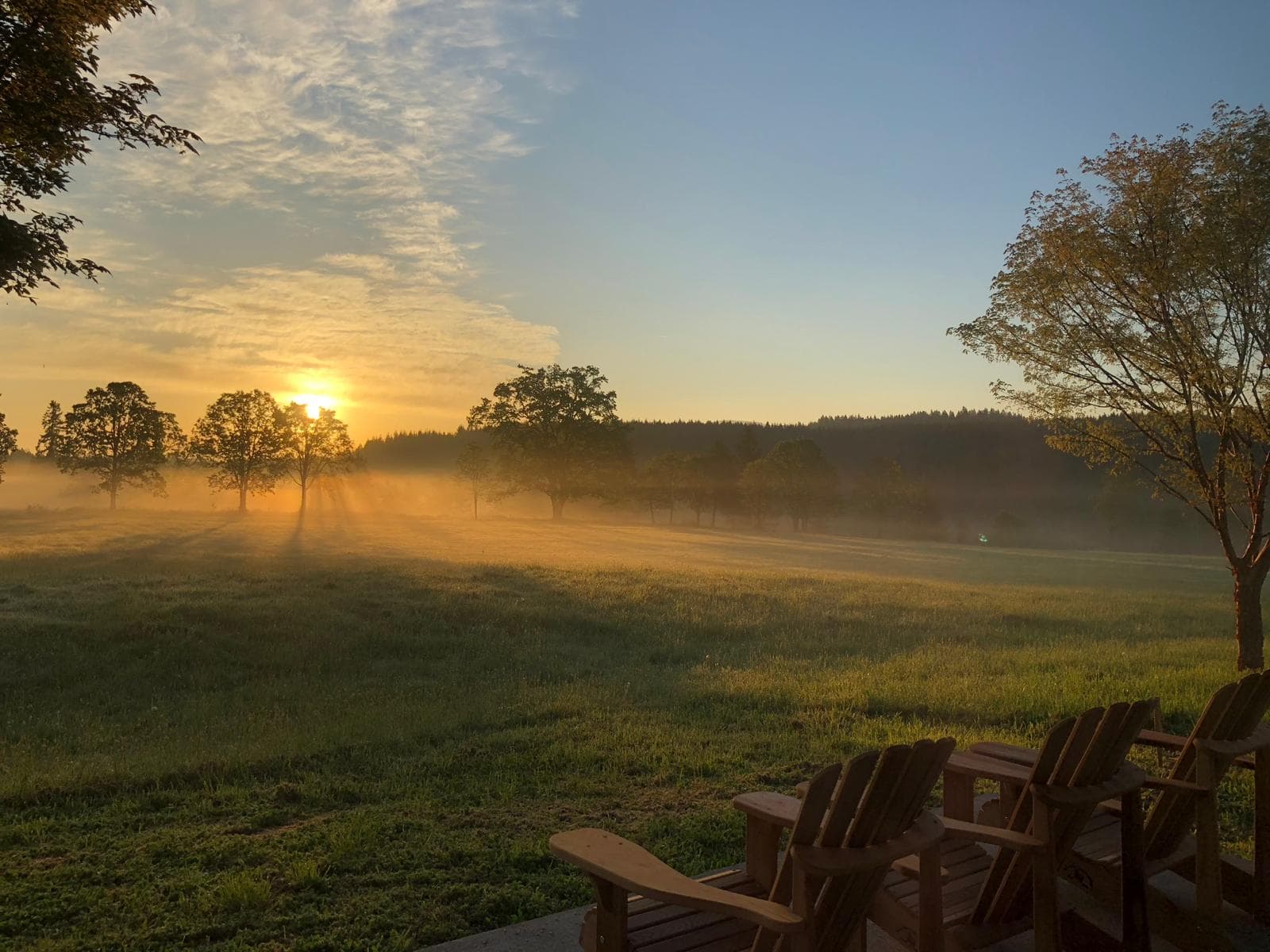 First frost over the pasture at daybreak