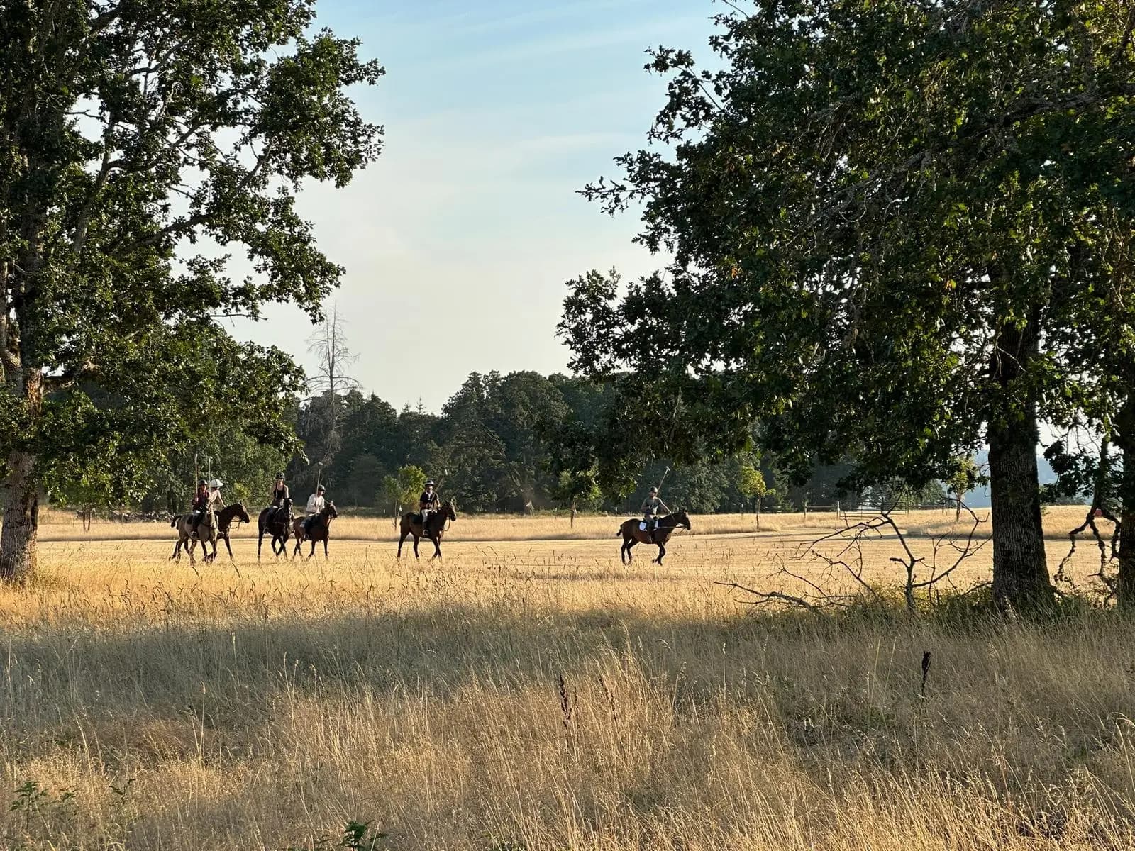 Experience riders in open pasture
